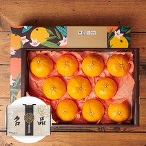 제주 천혜향 선물세트, 4.5kg 10-14과