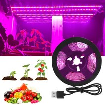 가게오픈화분 꽃잔디씨앗 여름꽃모종 국화모종 장 빛 스트립 램프 전체 스펙트럼 야채 꽃, ip20 비 방수, 2m