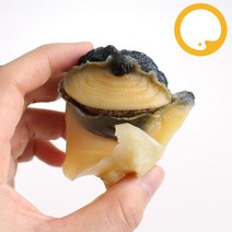 참소라 자숙탈각 1kg M(약40~60개) 피뿔고둥살 껍질제거 손질