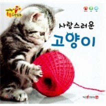 사랑스러운 고양이 세이펜통통자연동화, 상품명