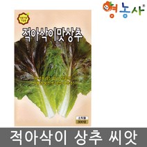 적아삭이 맛상추씨앗 300립, 적아삭이맛상추씨앗