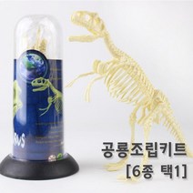 공룡뼈 화석 모형 조립 피규어 장식품 방과후 학습 수업 창의 초등 실험 교구 돌봄 관찰 과학, 프테라노돈