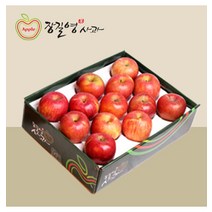 장길영사과/(장길영사과) 감홍 특대과 5kg(10-16과)/롯데백화점