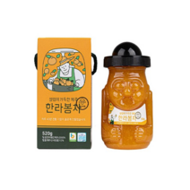 제주 설렘이가득한 한라봉차 320g 520g 2종 액상차 과일청 여행 선물 기념품 답례품, 한라봉차 520g