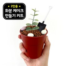 레옹 화분 케이크 만들기 세트 키트 DIY 화이트데이 선물 어린이집 유치원 재료, 단품