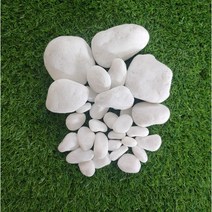 해미석 1kg 3kg 백자갈 흑자갈 정원 화분 조경 어항, 백색, 1~2cm, 1개