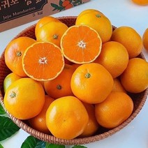 제주 타이백 감귤 레드향 한라봉 고당도 귤 선물용포장 3kg 5kg 10kg, 타이백감귤3kg, 선택안함
