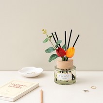 코코도르 미니가든 디퓨저 200ml 3종 택1, 플로럴망고 200ml