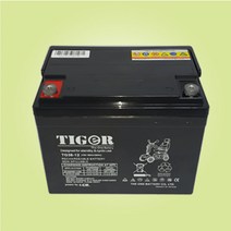 TG배터리 전동휠체어밧데리 전동스쿠터밧데리 12v 62A, 62AH 2개