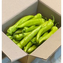 지리산 당조고추, 1kg, 1개