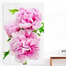 기타 바보사랑[꾸밈]아크릴액자_금전운의꽃모란(대형), 상세 설명 참조