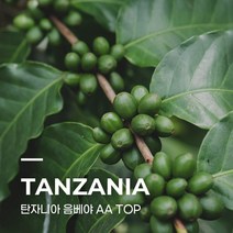 [커피생두] 탄자니아 음베야 AA TOP 10kg