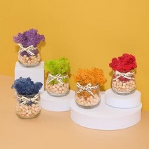 1300K 스칸디아모스 편백나무큐브 유리 화분 꽃병 편백모스, 단품