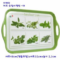 멜라민 손잡이 쟁반 텔타허브 (대) 트레이 과일 서빙, 단품