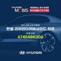 현대모비스 판넬 리어언더커버사이드.하부 (674548K000), 1개