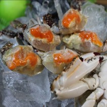 연평도 냉동꽃게 암꽃게 제철 절단 게장용, 절단 숫꽃게1kg, 8~14쪽 사이