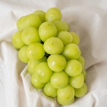 [프리미엄 샤인머스켓] 고당도 샤인머스켓 상주 김천 씨없는 청포도 망고포도, 프리미엄 샤인머스켓 2kg(3~4수)