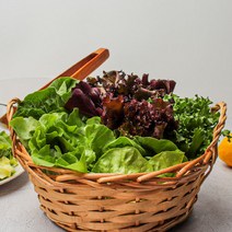 유럽 샐러드야채 모둠 1kg (로메인 버터헤드 카이피라 아지리카 루꼴라) 모듬 쌈채소, 유럽샐러드(포기형) 1kg