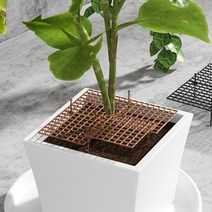 홈해피 화분 고양이 아기 흙 만짐 날림 방지 커버 덮개 30cm _ 93289EA, 01원형화분흙커버30cm
