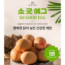 소굿에그 20구