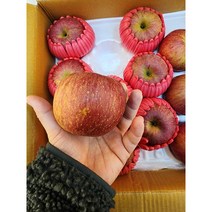 부사사과 식자재용 10KG, 10kg중과