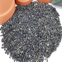 흑자갈 검은자갈 테라리움 바닥재 마감재 500g 3~5mm, 1kg