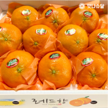 [00호텔납품] 제주 레드향 선물세트 로얄과 제주도 래드향 선물용 3kg 5kg, 가정용 레드향 3kg 혼합과 (15과수 내외)