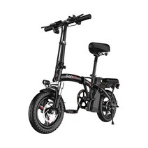 성인용 접이식 전기 자전거 경량 남녀 공용 후방 충격 흡수 장치 미니 운전, [10] Deluxe Edition 15A