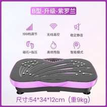 전신 덜덜이 음파 쉐이크 운동기구 홈트 다이어트 음파진동기 기구 뱃살, B타입/업그레이드/바이올렛/199단/무선리모컨
