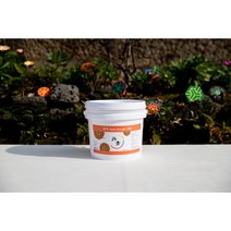 육색 1kg(북촌 단청 무기세라믹안료)