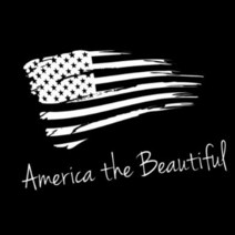 새차선물 고품격 가성비 좋은 블랙/실버 재미있는 애국적인 장식 미국 아름다운 자동차 스티커 차량 창 데, 02 Sliver_01 XS 15cm  wide