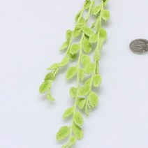 앨리플라워 프리저브드 소량 판매 드라이플라워 디퓨져만들기, 6-52히비키아 그린