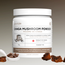 차가버섯 분말 효능