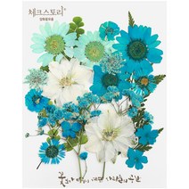 압화 컬러믹스 종합팩 꽃모음 17종 압화공예 액자 레진공예, 청록1