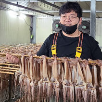 염분을제거한 국내가공 삼삼마른오징어 20마리 1축 1.5kg 1.7kg 2kg, 1.7kg 내외