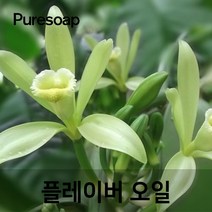 퓨어솝 바닐라 플레이버오일(cosmetic 등급) 립밤만들때첨가 캔들 디퓨져 화장품 만들기, 10ml