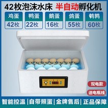 병아리 자동 부화기 인큐베이터 스마트 원터치 검란, 42란