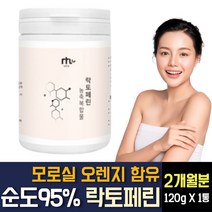 락토페린 분말 가루 다이어트 체지방감소 모로실 블러드오렌지 레몬밤 와일드망고 그린빈 농축 추출물 남자 여자 뱃살 복부 내장지방 옆구리 등 이중턱 허벅지 안쪽살 빼는 방법 식품 추천, 120g X 1개
