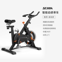 가정용 실내 자전거 사이클 좌식 싸이클 바이크 온가족 스핀 운동 헬스 기구, 스탠다드