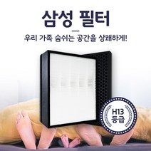 삼성 AX46N6580WMD 국내산 필터 G100D H13 헤파 탈취, 2.CFX-G100D-(고급형)
