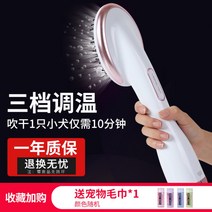 강아지 털 말리는 기계 애완 동물 헤어 건조기 드라이기, C1