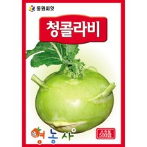그린 콜라비 씨앗 500립, 1개