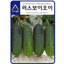 (오이씨앗종자) 러스보이오이(50립)