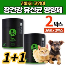 강아지 반려견 고양이 프로바이오틱스 유산균 가루 분말 파우더 프리바이오틱스 차전자피 소화 효소 흑효모 배양액 분말 동결건조 단호박, 2박스