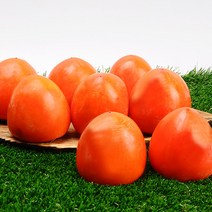 누리원 영암금정대봉감 고당도 달콤한 햇 대봉감 감중에 으뜸!, 1박스, 4.5kg (16~18과)