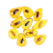 amber 삼엽충 암모나이트 삼엽충화석 곡옥 호박보석 동물화석 박제 곤충박제 타란튤라 전갈 호박반지 호박 반지 조개껍데기 천연 호박석 원래 보석 곤충 꿀벌 표본 수공예품 15