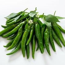 맛있게 매운 청양고추 1kg 3kg 5kg 10kg, 1박스, 청양(상) 1kg