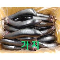 가지 못난이 가지 상 5kg 발품장터