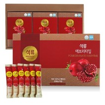 보령아로니아 에브리타임 NFC 65브릭스 석류 스틱 10ml x 60포 2박스, 기타