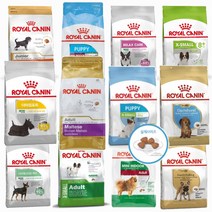 로얄캐닌 사료 23종 1.5kg 퍼피 어덜트 시니어 인도어 말티즈 시츄 푸들 비숑 닥스훈트 프랜치불독 전용 사료 스몰브리드, 로얄캐닌 미니 다이제스티브 케어 1kg